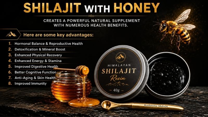 5 Reasons to Try Shilajit Honey Sticks for Everyday Energy